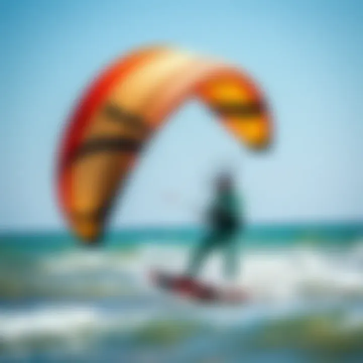 Magnificent A Comprehensive Guide to Choosing the Right Kites for Beginners