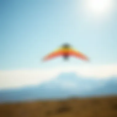 Magnificent Exploration of the Skywalker Kite: Design, Performance, and Community Impact Magnificent Exploration of the Skywalker Kite: Design, Performance, and Community Impact