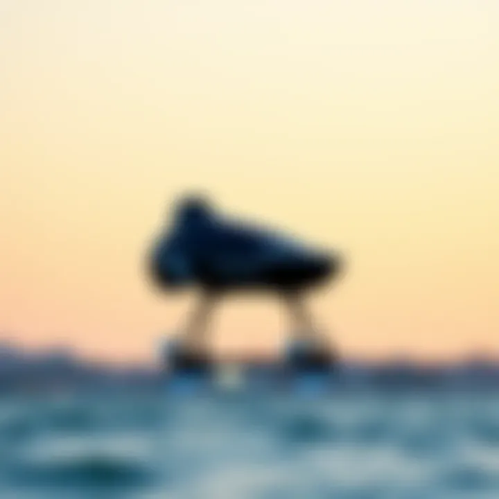 Magnificent Exploring the Affordable Electric Hydrofoil: A Comprehensive Guide