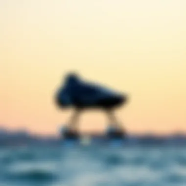 Magnificent Exploring the Affordable Electric Hydrofoil: A Comprehensive Guide Magnificent Exploring the Affordable Electric Hydrofoil: A Comprehensive Guide