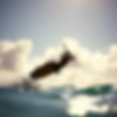 Magnificent Understanding Oahu Weather Maps for Kiteboarding
