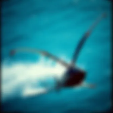 Magnificent Windfoils for Sale: A Comprehensive Guide