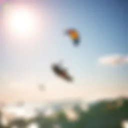 A Comprehensive Guide to Choosing the Right Kites for Beginners Introduction