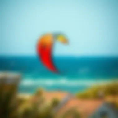 Notable A Comprehensive Guide to Choosing the Right Kites for Beginners