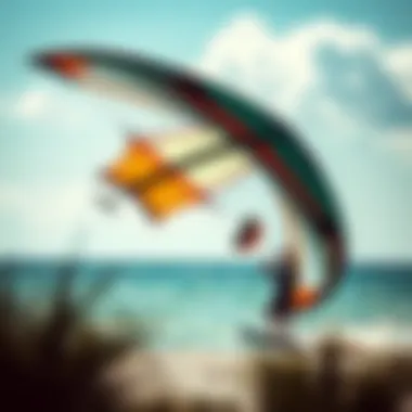 Innovative Eco-Friendly Kite Design Innovative kite design featuring eco-friendly materials