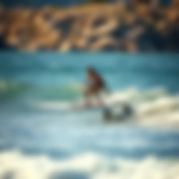 Assessing the Cost of Hydrofoil Surfboards Summary