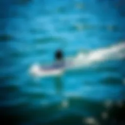 Overview of a foil board on the water
