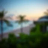 Stunning beach view at Boa Vista Resort