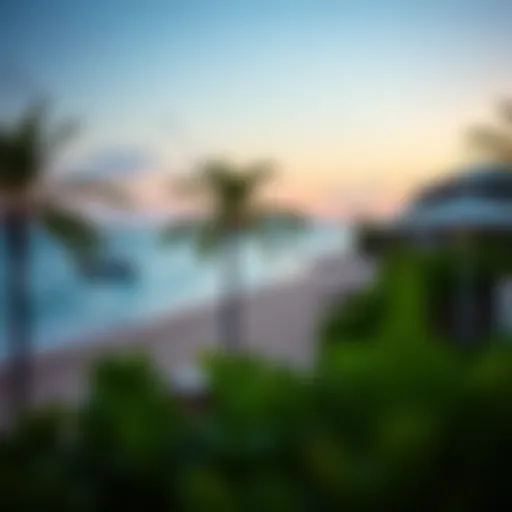 Stunning beach view at Boa Vista Resort