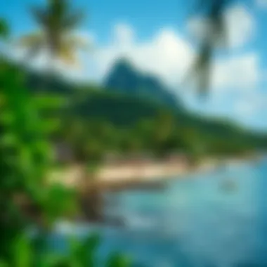 Tropical Paradise of Coconut Bay Lush tropical landscape surrounding Coconut Bay resort