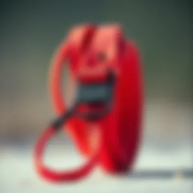 Reliable Kitesurfing Safety Leash Essential kitesurfing safety leash emphasizing reliability
