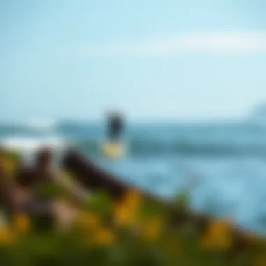 Sustainable Practices in Wing Surfboarding A serene coastal environment highlighting eco-friendly surfboarding