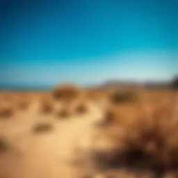 Serene landscape showcasing Marsa Alam's natural beauty