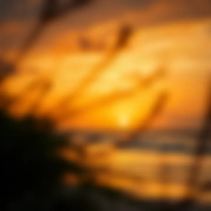 Sunset Serenity at El Cuyo A picturesque sunset over El Cuyo, capturing the essence of adventure
