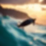 Dynamic electric efoil riding over waves