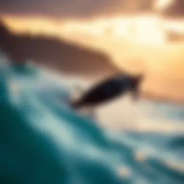 Dynamic electric efoil riding over waves