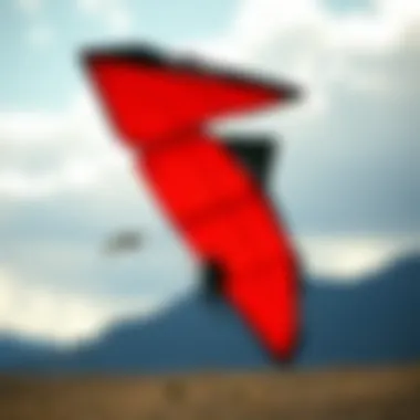 Notable Exploration of the Skywalker Kite: Design, Performance, and Community Impact Notable Exploration of the Skywalker Kite: Design, Performance, and Community Impact