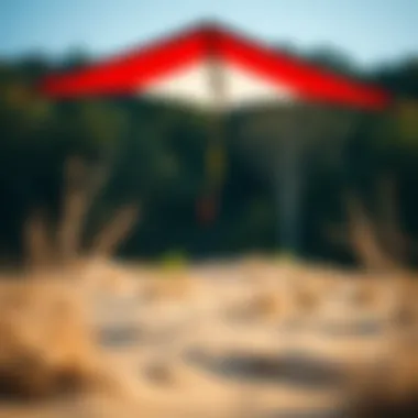 Exploration of the Skywalker Kite: Design, Performance, and Community Impact Summary Exploration of the Skywalker Kite: Design, Performance, and Community Impact Summary