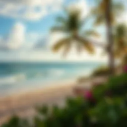 Stunning beachfront view of Boa Vista Resort