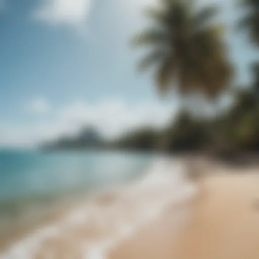 Tranquil shoreline view at Coconut Beach