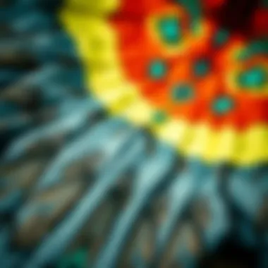 Intricate design patterns of a duotone kite Close-up of unique design patterns on a duotone kite