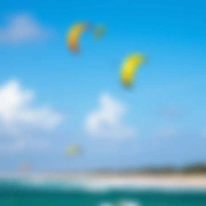 Vibrant Kites in Action Colorful kites soaring high in the sky above Kite Beach, demonstrating the excitement of the sport.