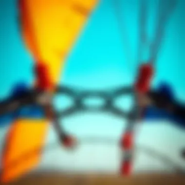 Structural Components of Kites An array of structural components used in kite construction, highlighting durability and design