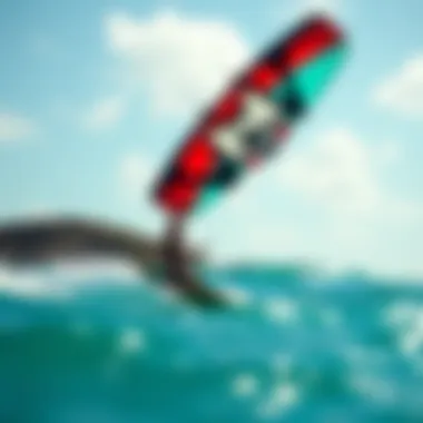 Exploring Naish Kites for Sale: Insights and Recommendations Summary
