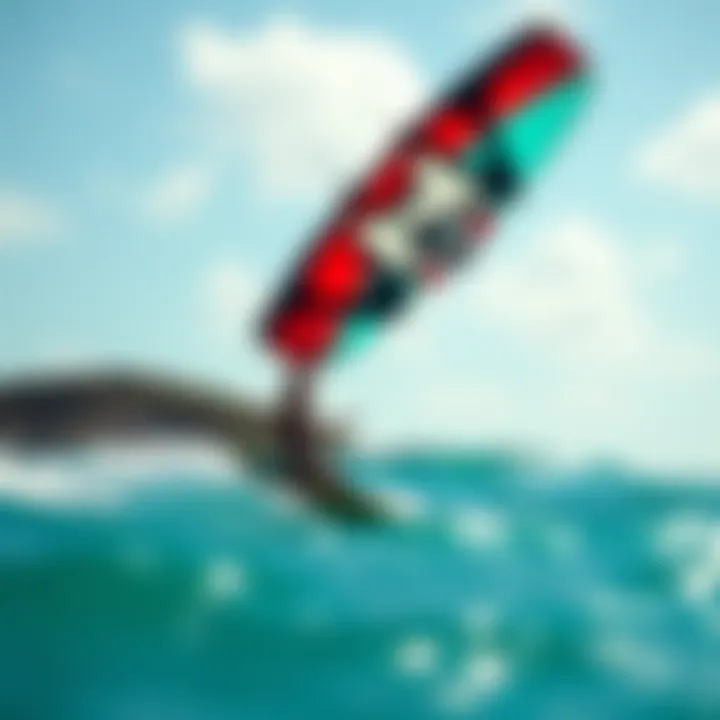 Exploring Naish Kites for Sale: Insights and Recommendations Summary
