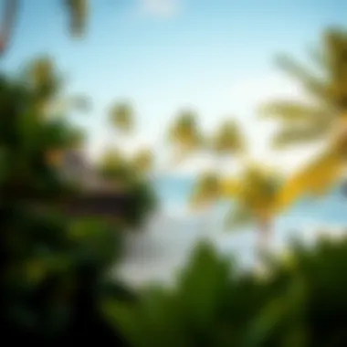 A cozy beachfront accommodation surrounded by tropical foliage in Rancho do Peixe