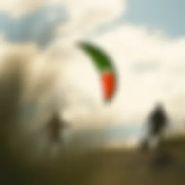 Exploring Retail Options for Kites: Where to Buy Summary Exploring Retail Options for Kites: Where to Buy Summary