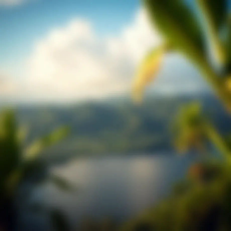 Breathtaking view of Taveuni Island's lush landscape
