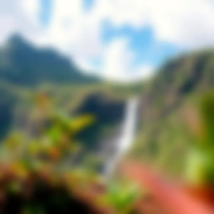 Hiking Trails of Taveuni Island Adventurous hiking trail leading to Taveuni Island's waterfalls