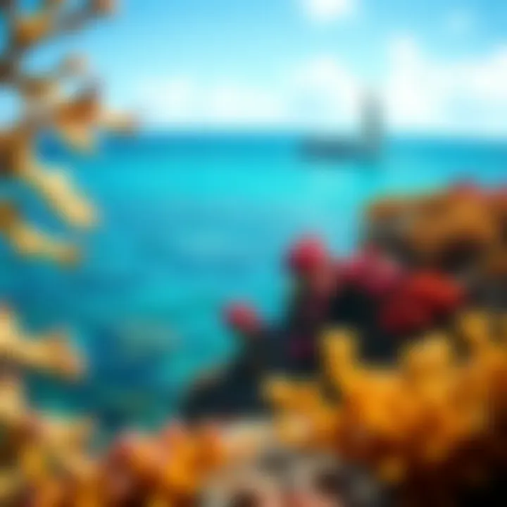 Coral Reefs of Taveuni Island Vibrant coral reefs surrounding Taveuni Island
