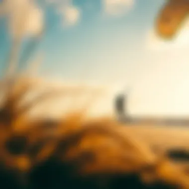 Ideal Kiteboarding Conditions Windy beach conditions perfect for kiteboarding