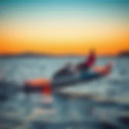 Exploring the Affordable Electric Hydrofoil: A Comprehensive Guide Introduction
