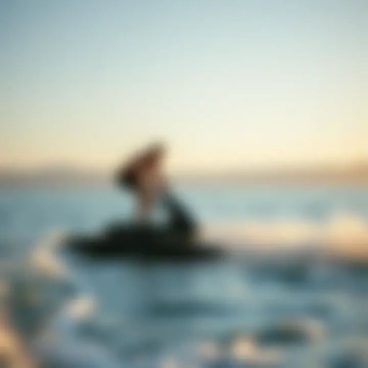 Exploring the Affordable Electric Hydrofoil: A Comprehensive Guide Summary