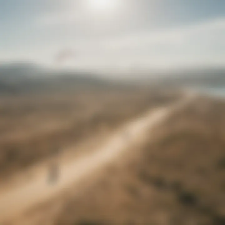 A group of kiteboarders enjoying a sunny day on a wide-open field