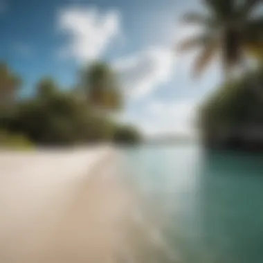 Secluded beach on North Caicos with palm trees