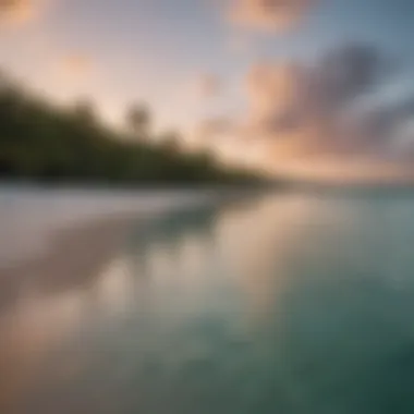 Calm evening at Sapodilla Bay showcasing serene waters