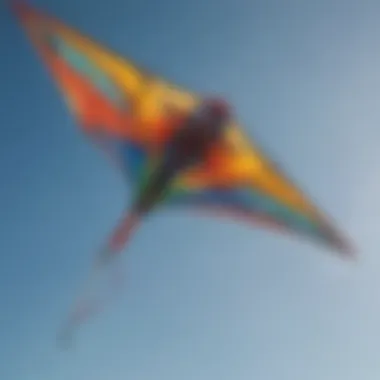 A variety of kite shapes displayed against a clear sky