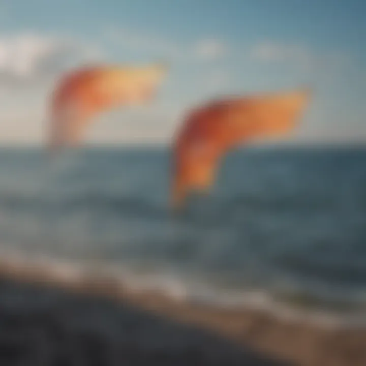 Comparison of different kite foil wings laid out for analysis.