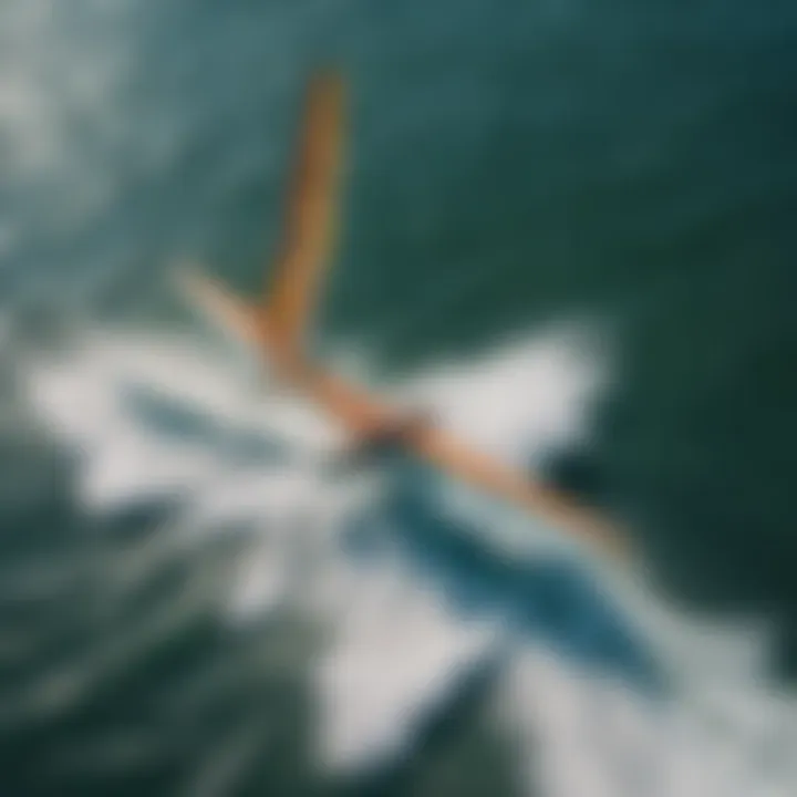 A breathtaking view of a wing surf foiler gliding above the water