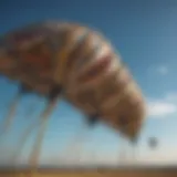 Detailed view of a pigtail kite showcasing its intricate design features