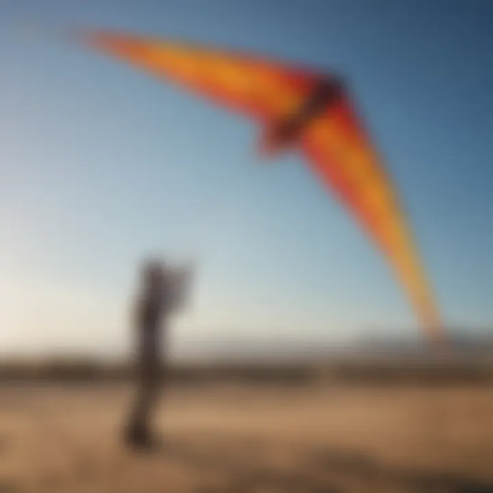 Eco-friendly materials used in kite design