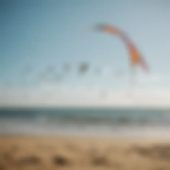 Various types of kites displayed on a beach