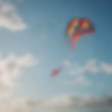 Vibrant discount kites soaring in the sky