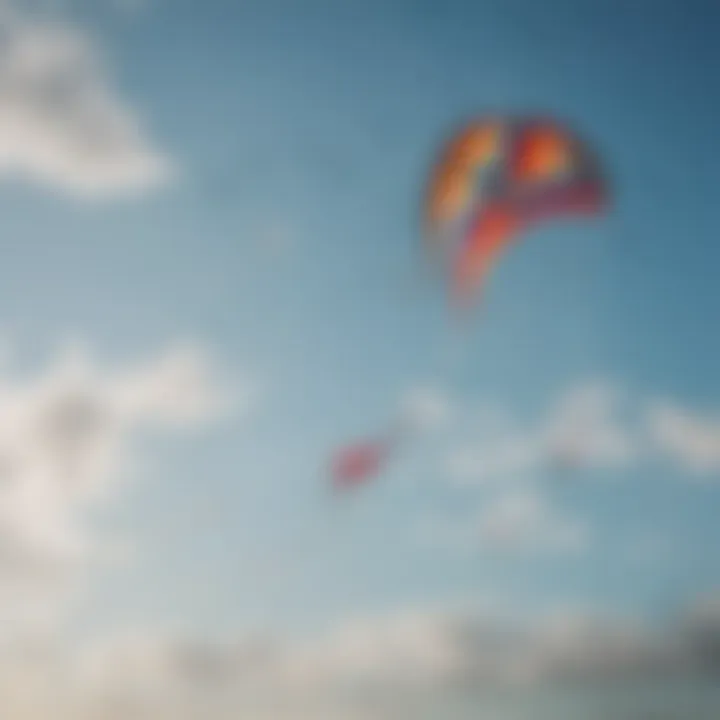 Vibrant discount kites soaring in the sky