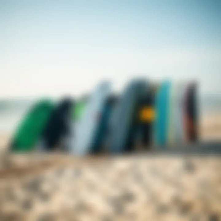 Variety of Wing Board Types An array of different wing board types displayed on a sandy beach, illustrating variety