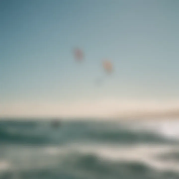 A group of kitesurfers enjoying a sunny day on the water with various kites